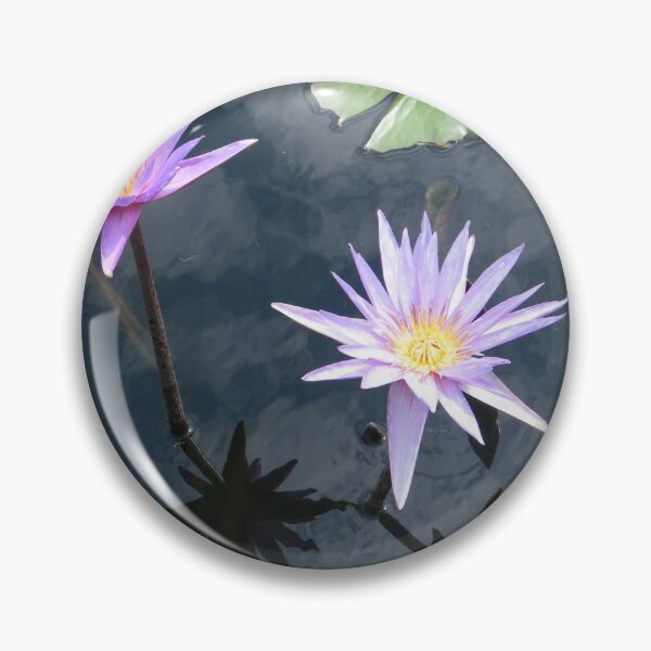 Item preview, Flower Reflection, Cloud Reflection, New York  City designed and sold by lenspiro.