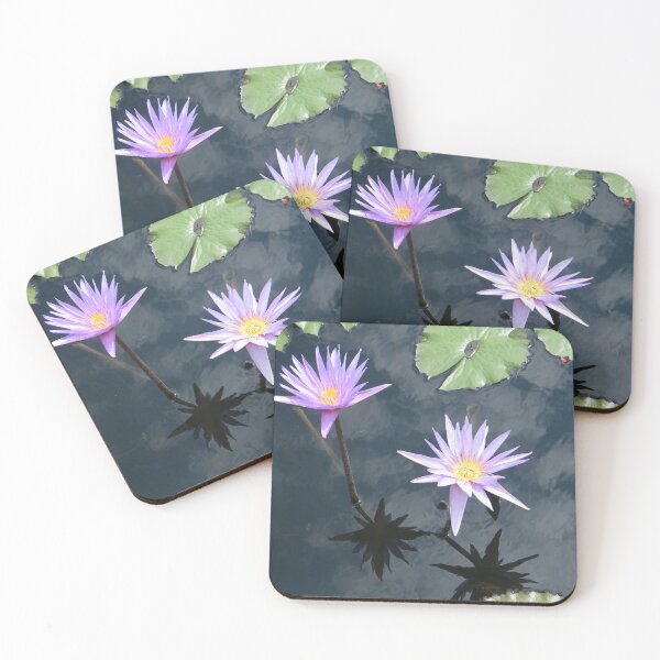 Item preview, Flower Reflection, Cloud Reflection, New York  City designed and sold by lenspiro.
