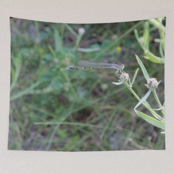 Item preview, Damselfly designed and sold by Susie Kramer.