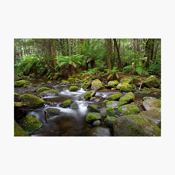 Marysville Memories. Photographic Print