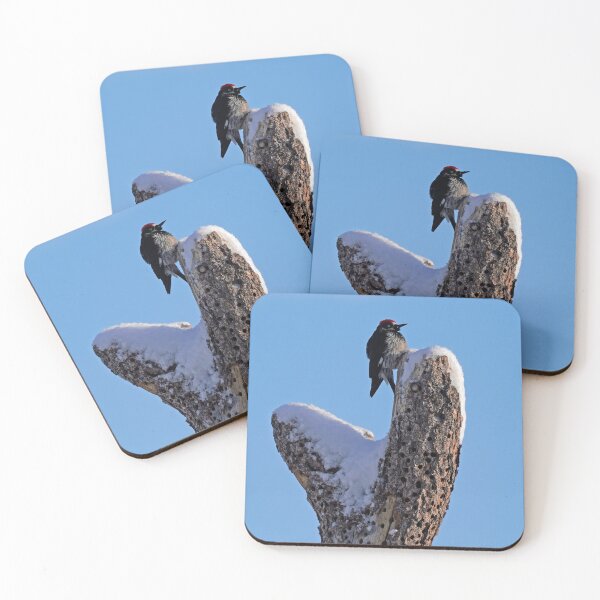 Item preview, Acorn Woodpecker in Snowy Tree designed and sold by MomentofPercep.