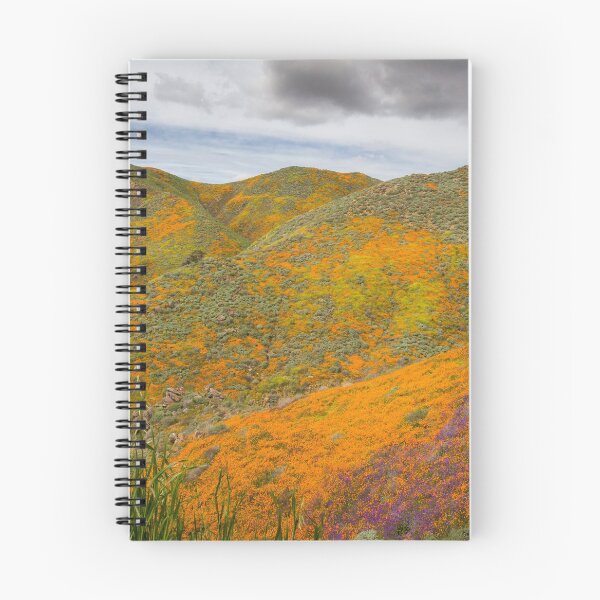 Item preview, California Poppy Field designed and sold by Ian Christopher.