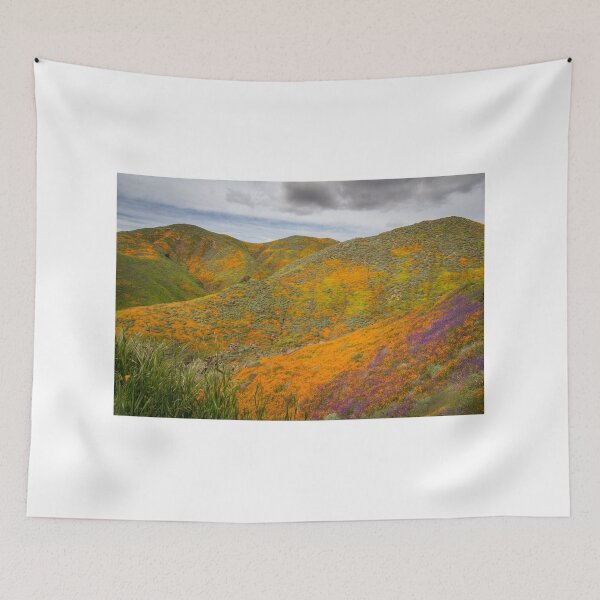 Item preview, California Poppy Field designed and sold by Ian Christopher.