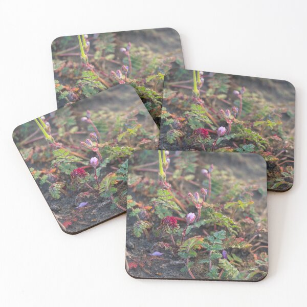Item preview, Small Storks Bill Plants designed and sold by Ian Christopher.