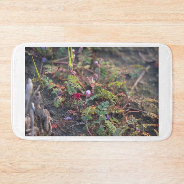 Item preview, Small Storks Bill Plants designed and sold by Ian Christopher.