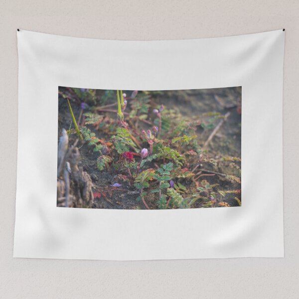 Item preview, Small Storks Bill Plants designed and sold by Ian Christopher.