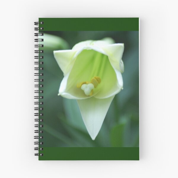 Item preview, Slowly Opening designed and sold by Lorelle Gromus.