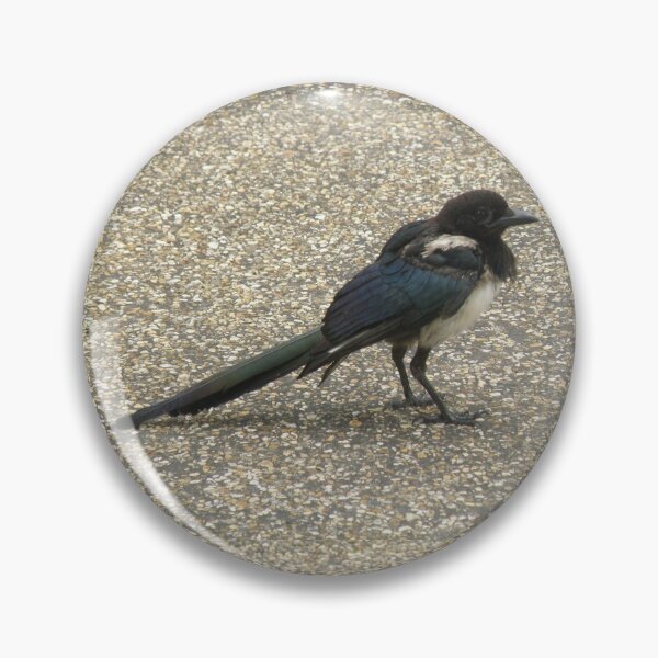 Item preview, Cute Tatty Magpie Photograph designed and sold by naturegallery.