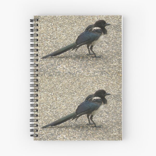 Item preview, Cute Tatty Magpie Photograph designed and sold by naturegallery.