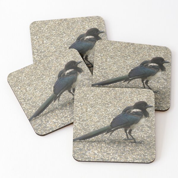 Item preview, Cute Tatty Magpie Photograph designed and sold by naturegallery.