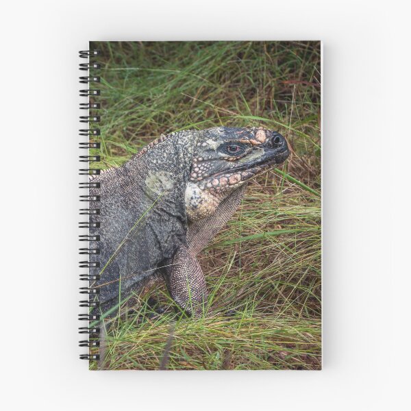 Item preview, Exuma Island Iguana designed and sold by Ian Christopher.
