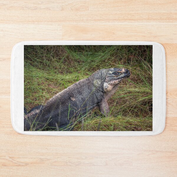 Item preview, Exuma Island Iguana designed and sold by Ian Christopher.