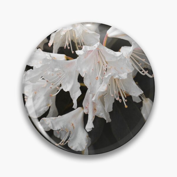 Item preview, Pure Blossoms. designed and sold by shesjustcurious.