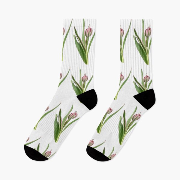 Item preview,  Tulipa 'Eternal Flame' Double Early Tulip designed and sold by Chris Burrows.