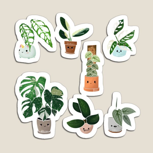 99 Best plant mom ideas  plant mom, plant mom aesthetic, mood