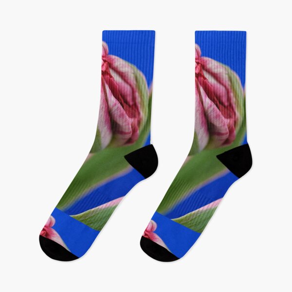 Item preview, Tulipa 'Eternal Flame' Double Early Tulip designed and sold by Chris Burrows.