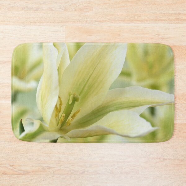 Item preview, Tulipa 'Greenstar' Lily-flowered or Viridiflora Tulip designed and sold by Chris Burrows.