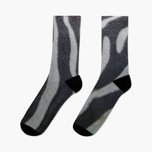 Item preview, Y Zebra Stripes designed and sold by Dalyndigital Photography.