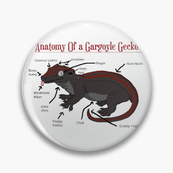 Item preview, Anatomy of a Gargoyle Gecko designed and sold by christywoowoo.