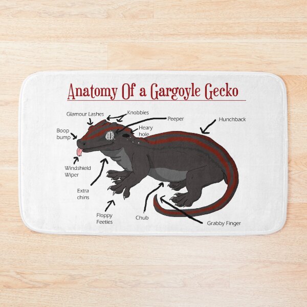 Item preview, Anatomy of a Gargoyle Gecko designed and sold by christywoowoo.
