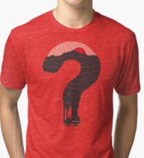 Why? Tri-blend T-Shirt