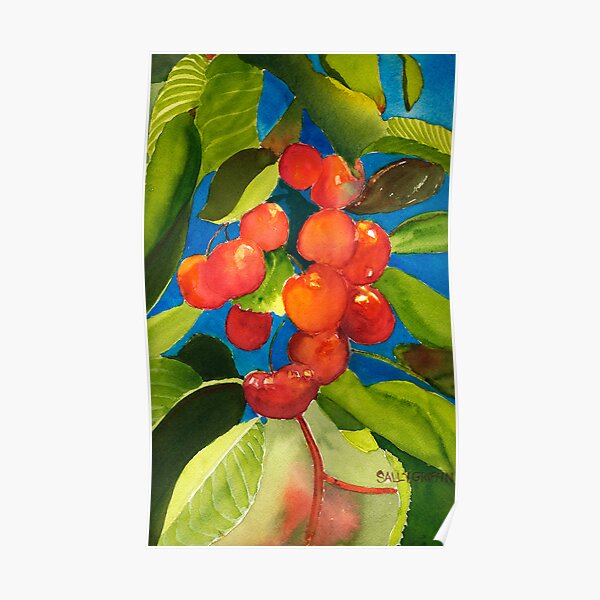 Rainier Rubies Poster
