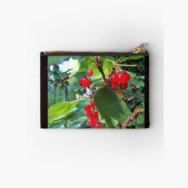 Item preview, Red currants in the solar bath designed and sold by Redrose10.