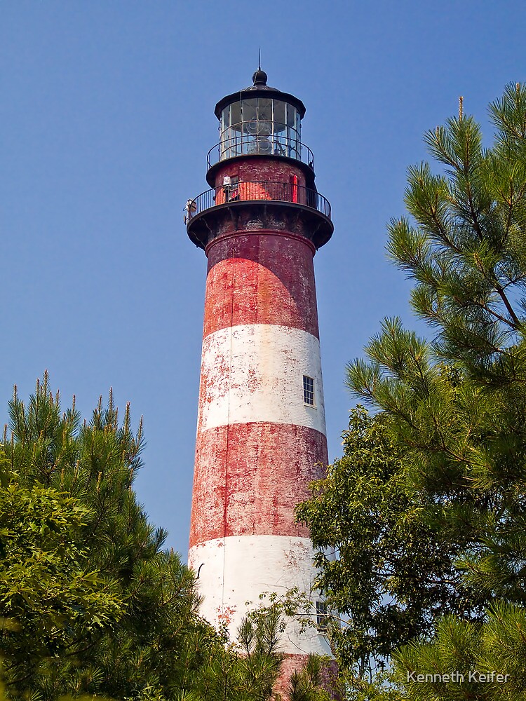 "Assateague Island LIghthouse, Virginia" Canvas Print for Sale by
