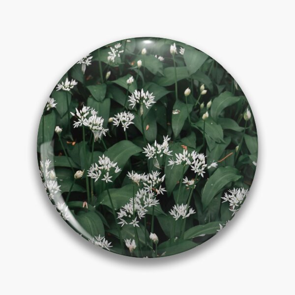 Item preview, Kitchen Secrets. designed and sold by shesjustcurious.