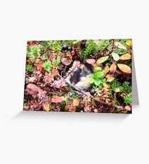 Lemming Greeting Card