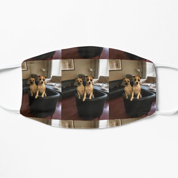 Dogs Mask