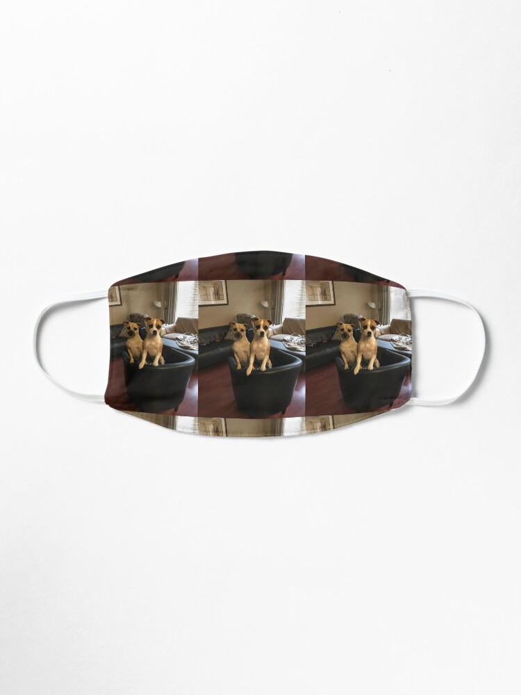 Alternate view of Dogs Mask