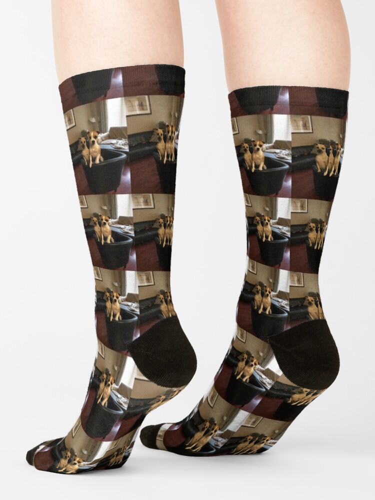 Alternate view of Dogs Socks