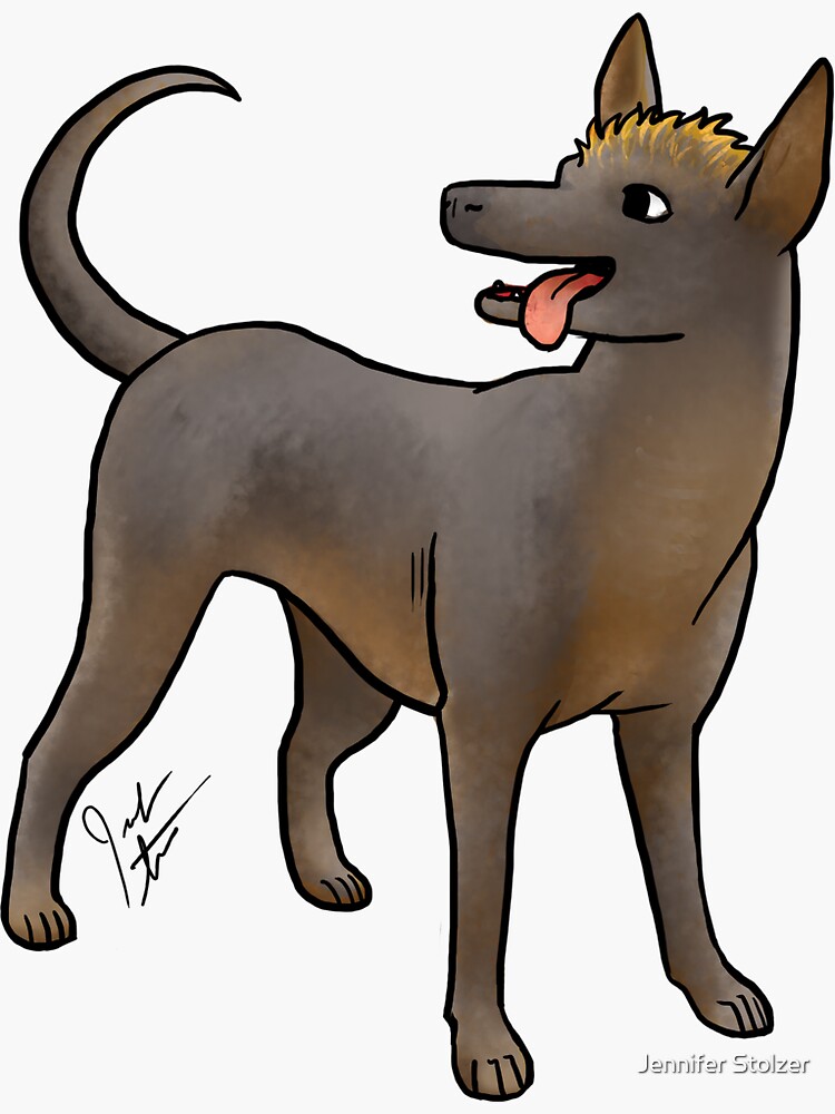 Xoloitzcouintli by jameson9101322