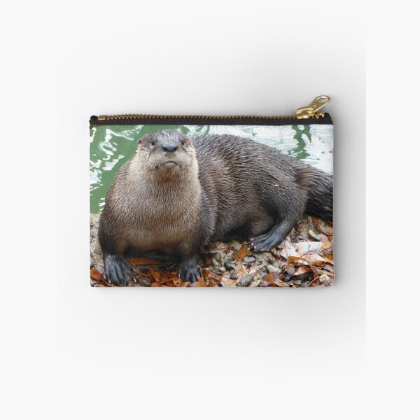 Item preview, River Otter at the National Zoo designed and sold by Zoo and Nature Photography by Karie.