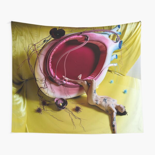 HS Naked with Yellow Background Tapestry