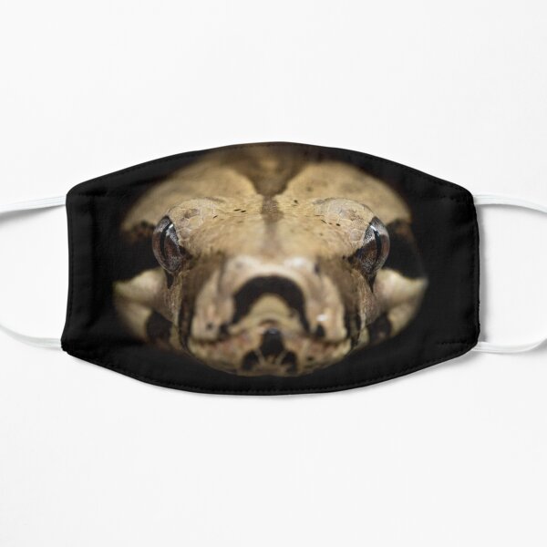 Snake Face Mask Mask