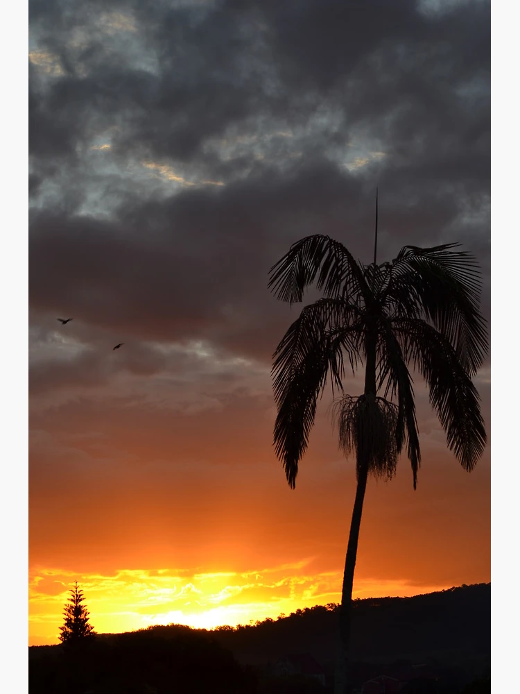 Thumbnail 3 of 3, Poster, Fiery Sunset designed and sold by TheaShutterbug.