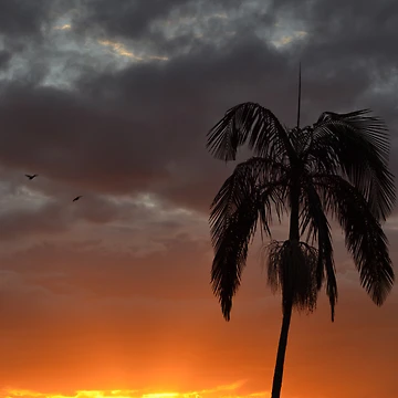 Artwork thumbnail, Fiery Sunset by TheaShutterbug