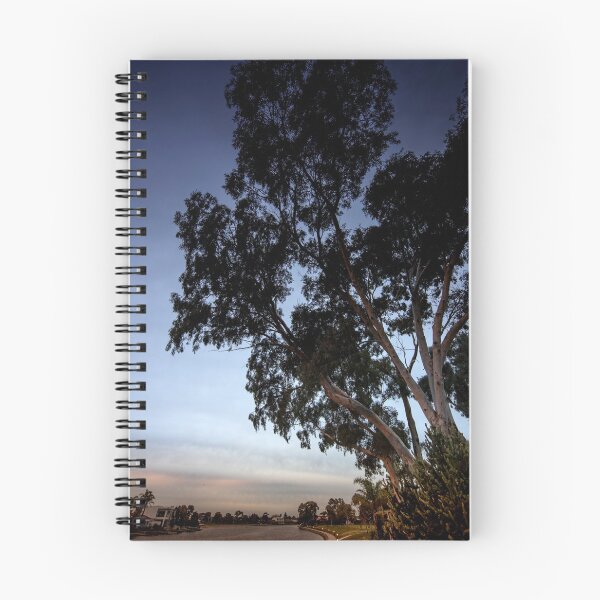 Item preview, Colourful Sunset and Gumtrees viewing Delfin Island designed and sold by jiashu xu.