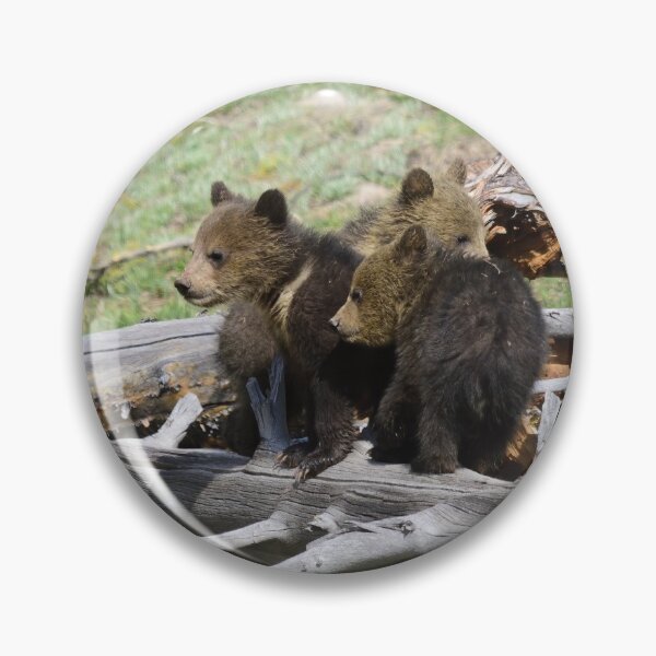 Item preview, bears on a log designed and sold by grizzbass.