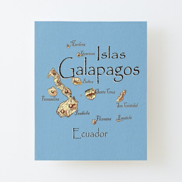 Map Of The Galapagos Islands Mounted Print For Sale By Leeloolook   Ur,mounted Print Canvas Portrait Small Front,square,600x600.1u3 