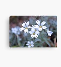 Flowers Canvas Print