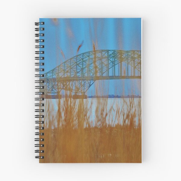 Item preview, Robert Moses Bridge Peaking Through designed and sold by floofpictures.
