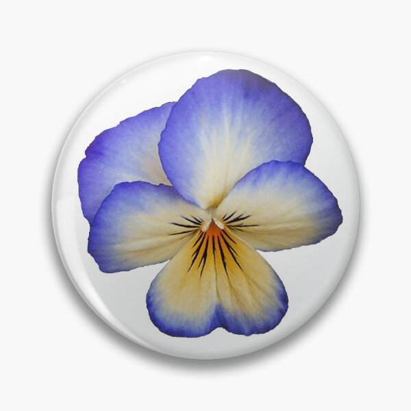 Item preview, Blue and Yellow Viola designed and sold by Betty Mackey.