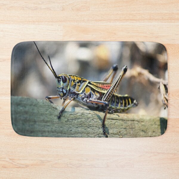 Item preview, The Lubber Grasshopper designed and sold by RoseC.
