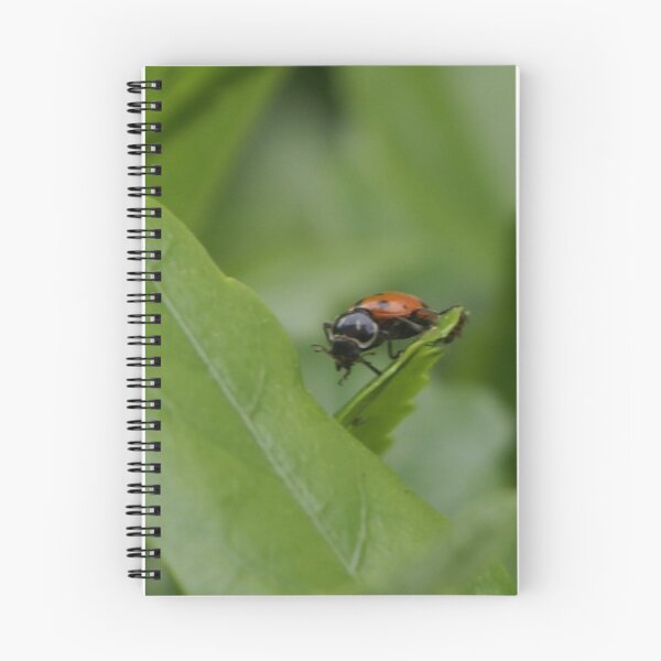 Item preview, I have arrived to dine! Hedger Photography All Rights Reserved 2009; La Mirada, CA USA designed and sold by leih2008.