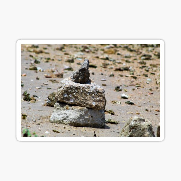 Florida Snowman  Sticker