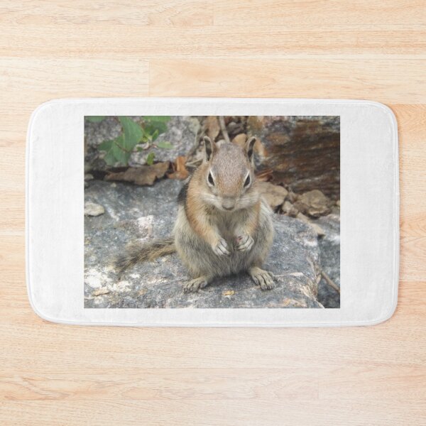 Artikelvorschau, Chipmunk, Georgetown, Colorado entworfen und verkauft von lenspiro.