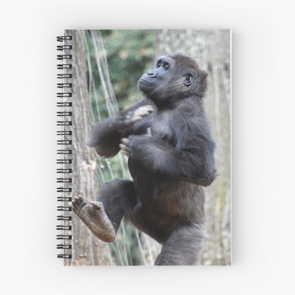 Item preview, Gorilla Anaka at Zoo Atlanta designed and sold by Zoo and Nature Photography by Karie.